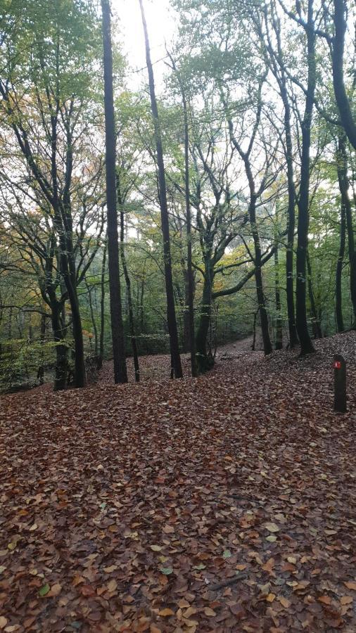 Abija Villa Putten Exteriör bild