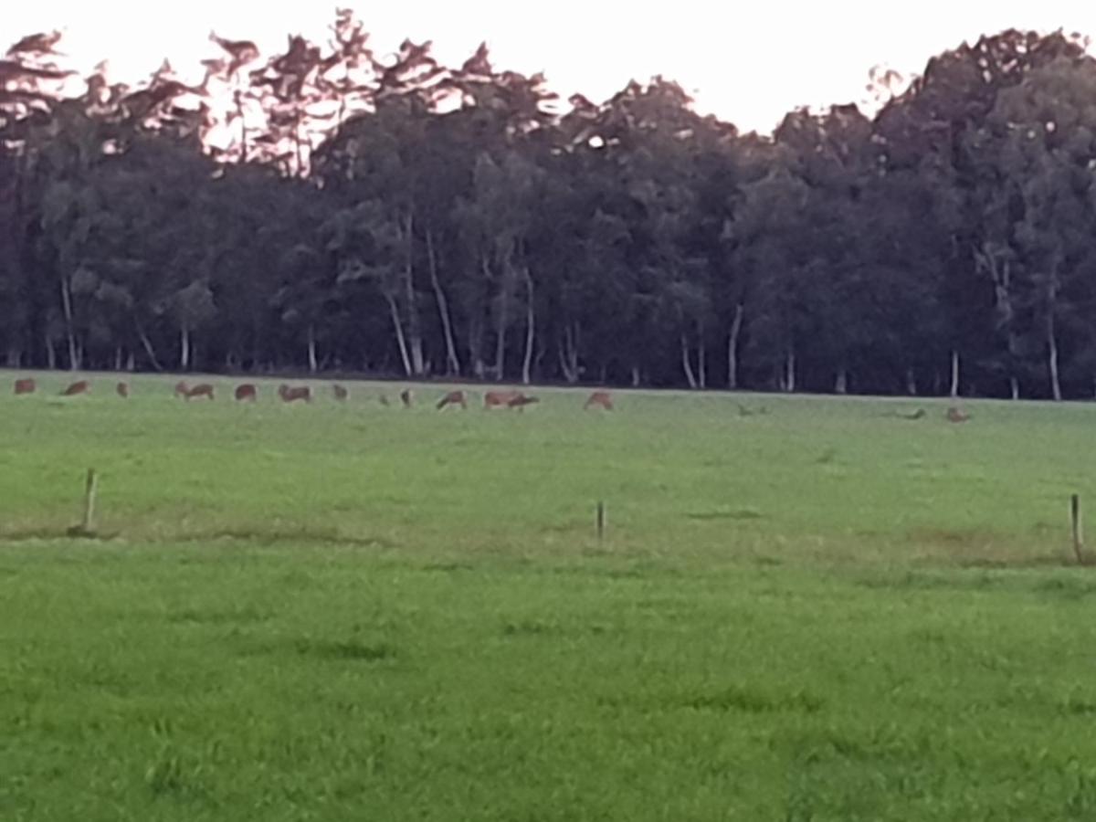Abija Villa Putten Exteriör bild